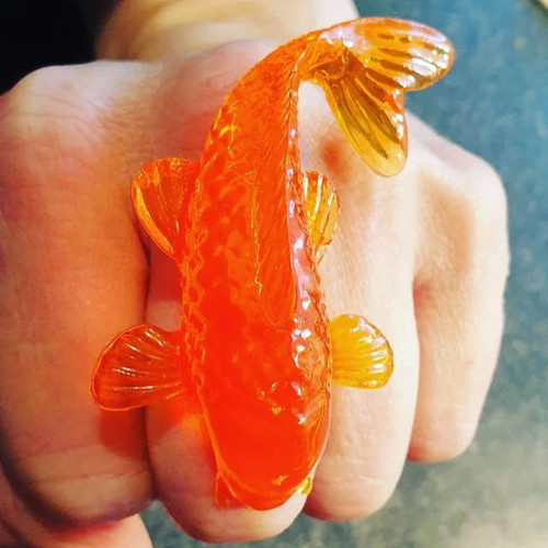 Einzigartiger tangerine koi - einzigartiger,