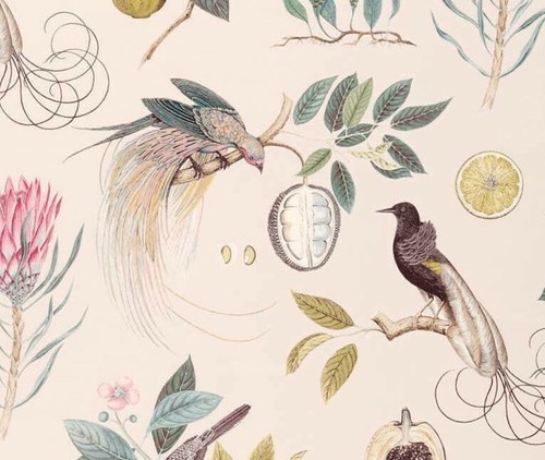 Sanderson gardinenstoff design - sanderson,