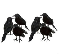 6Stück Schwarz Taubenschrecke