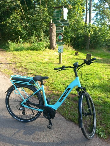 Bike damen - e,