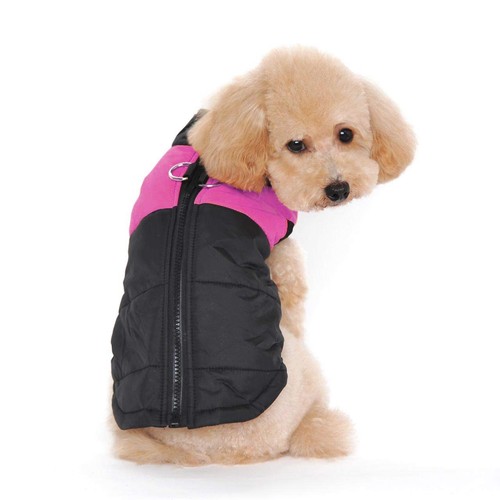Ectkuee hundemantel winter - hundemantel,
