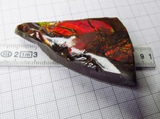 Ammolit, Ammolith, Ammolite