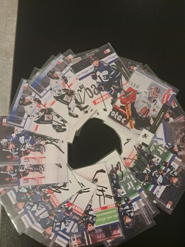 Del playercards iserlohn - playercards, 25/26