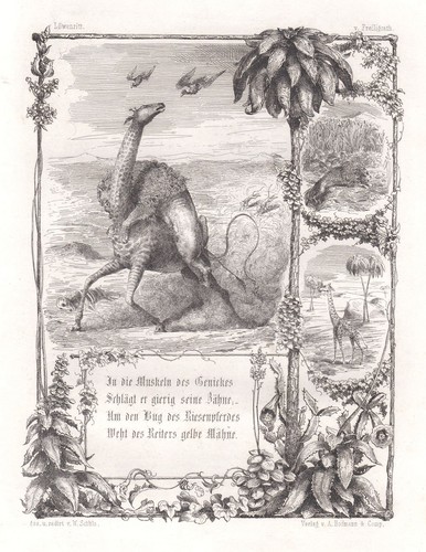 1848 löwenritt löwe giraffe - löwe,