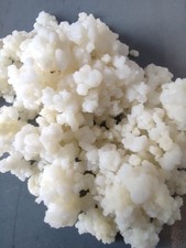 XXL Portion: 20g Milchkefir