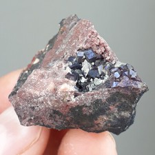 Cuprit - Tsumeb Mine, Namibia