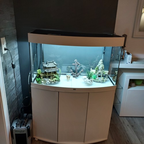 Akwarium fisch juwel - juwel, 75l
