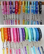 Welpenhalsband Leine Set