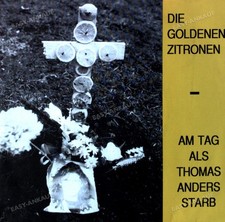 Die Goldenen Zitronen - Am Tag