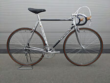 Bottecchia Team Hoonved