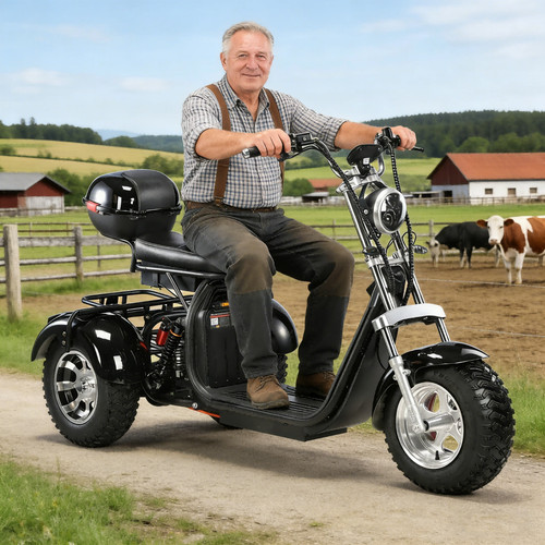 Coc elektro dreiräder mit - elektro-dreiräder,