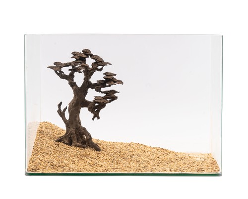 Natureholic stone bonsai - natureholic,