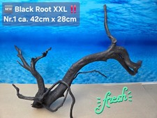 👋NEU XXL Black Moorwurzel