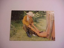 Winnetou - Unter Geiern - Karl