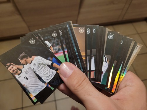 Panini family ferrero dfb - panini, 2026