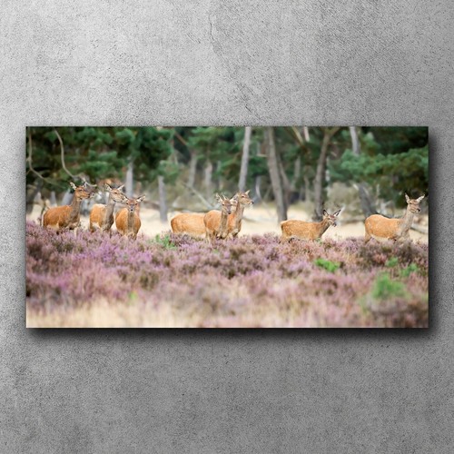 Leinwand bild deko wandbilder - leinwand,
