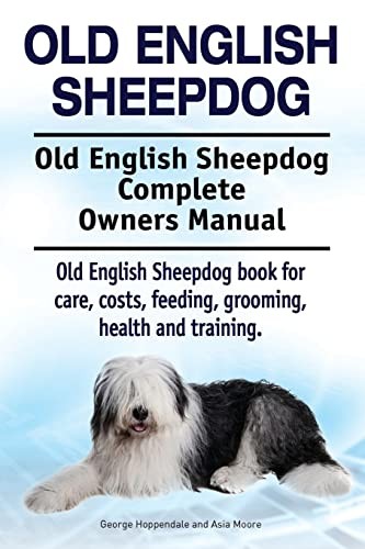 Old english sheepdog - sheepdog.,