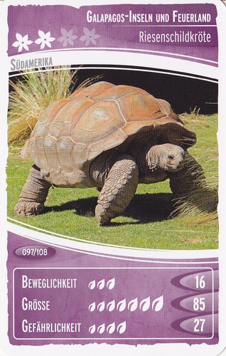 Netto ozeanien - ,