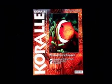 Koralle Nr. 153 Meerwasser Aquaristik Magazin Wechselbeziehungen