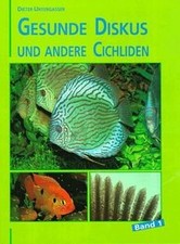 Gesunde Diskus und