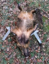 Wildgalgen am Boden :) 