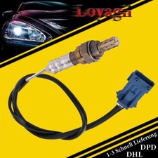  Lambdasonde Nach Kat Für