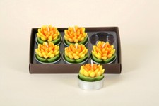 TEELICHT - Seerose - gelb