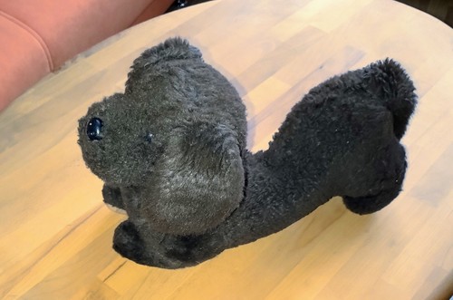 Teddy hund kuscheltier - teddy-hund,