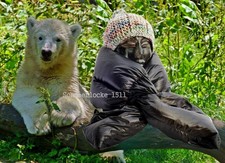 Daunenschal, Nylon, seidenglanz, schwarz, Accessoire für Daunenjacke