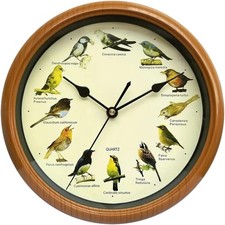 schwenkbare Singvogel Wanduhr Vogelgesanguhr mit 12 Vogelbildern grüne Wand