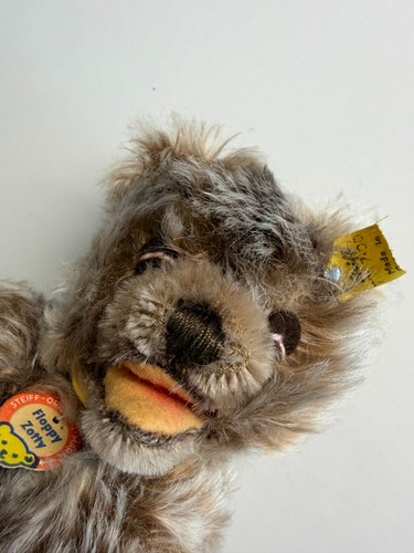 Steiff teddy bär - teddy, "floppy