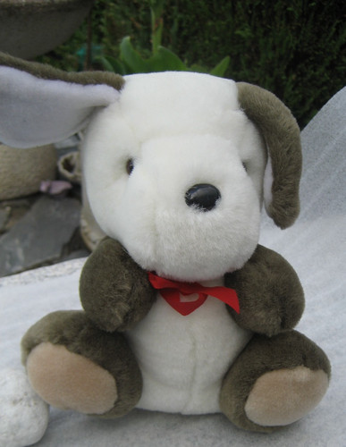 Teddy plüschhund weich - –,