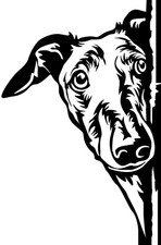 Galgo aufkleber - aufkleber,