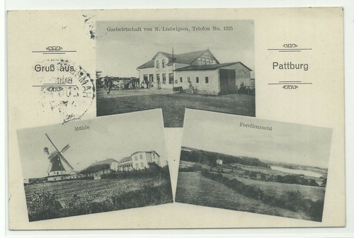 Pattburg gastwirtschaft - pattburg,