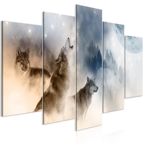 Wald wolf landschaft - wald,