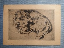 alte Ansichtskarte Postkarte AK Rolf Krause Schlafender Hund Radierung