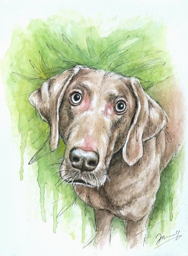 Hundebild original aquarell - hundebild,