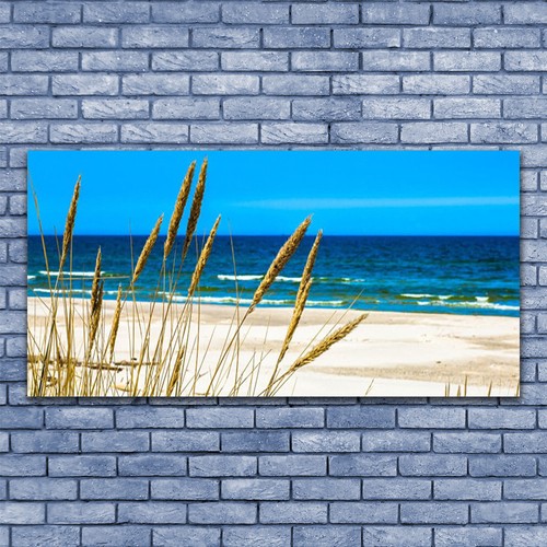 Acrylglasbilder wandbilder aus - acrylglasbilder,