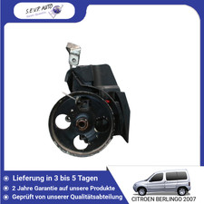 🇩🇪 SERVOLENKUNGSPUMPE