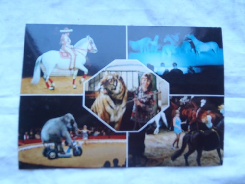 Circus krone christel - krone,