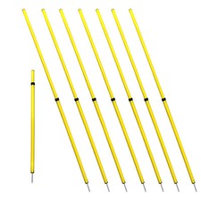 Agility Telescopic Poles