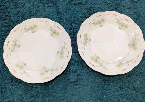 Hutschenreuther viktoria - hutschenreuther,