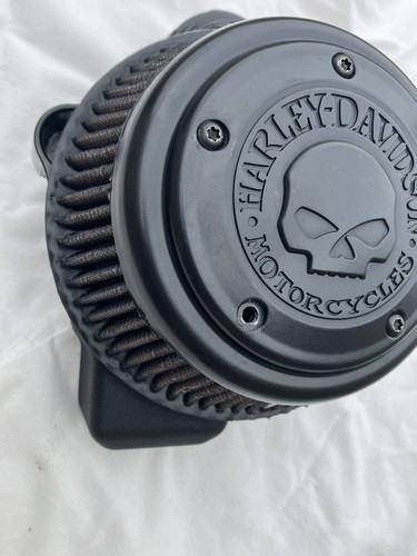 Harley davidson screamin - davidson, m8