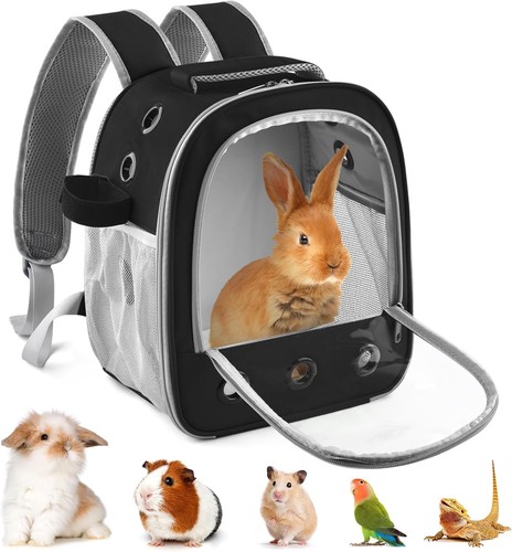 Meerschweinchen rucksack - meerschweinchen,