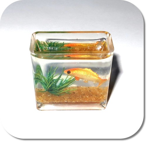 Miniatur aquarium eckig - miniatur,