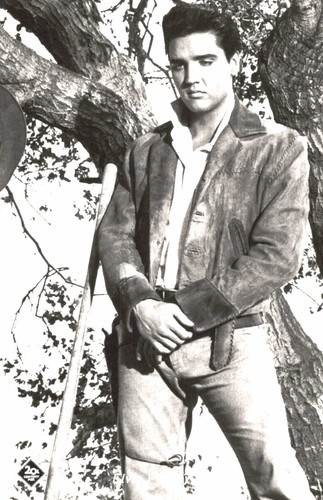 Elvis presley - elvis, **