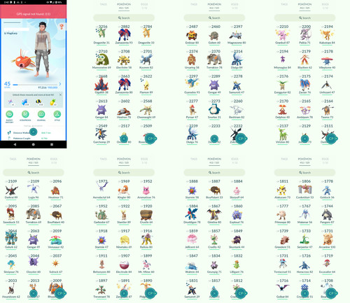Pokémon acc lvl45 41 - -,