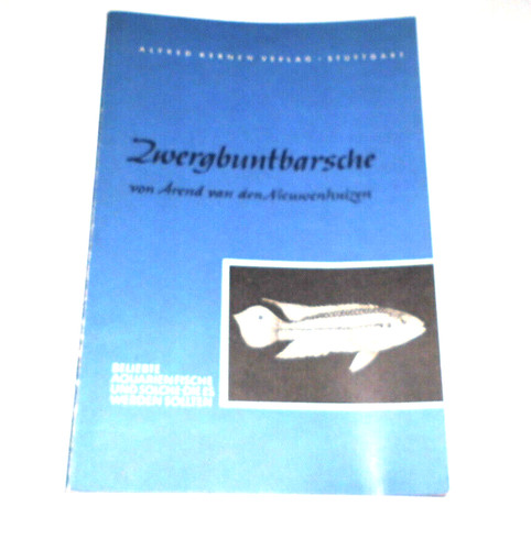 Nieuwenhuizen - ,