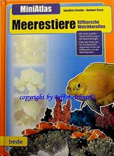 MiniAtlas Meerestiere Bede