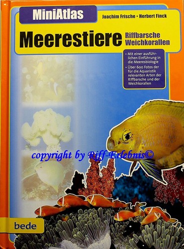 Miniatlas meerestiere bede - miniatlas,